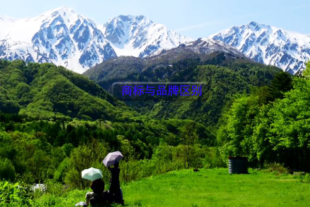 商標與品牌之間的區別有哪些? 商標與品牌之間的區別有哪些?
