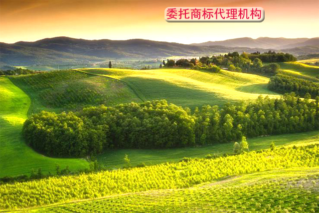 商標代理機構 商標代理機構