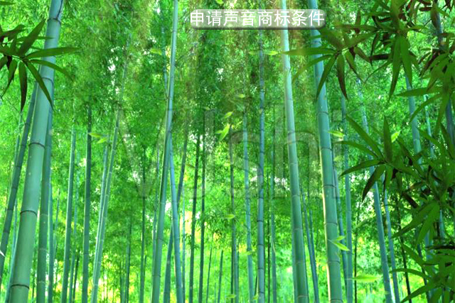 申請聲音商標需要滿足什么條件? 申請聲音商標需要滿足什么條件?