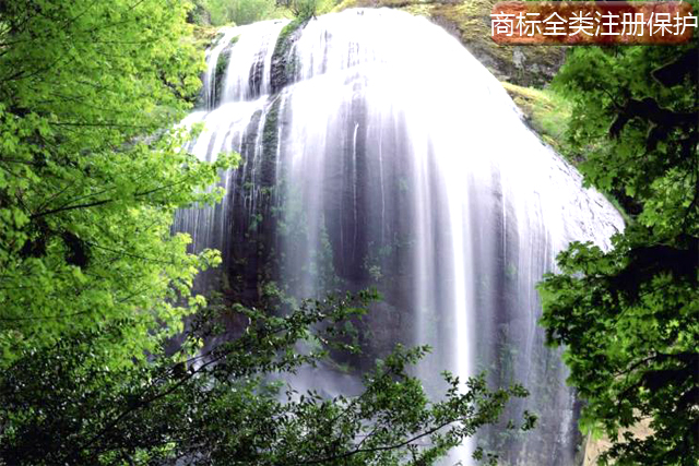 商標全類注冊保護 商標全類注冊保護