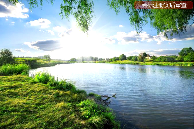 商標注冊進入實質審查階段后都查哪些內容? 商標注冊進入實質審查階段后都查哪些內容?