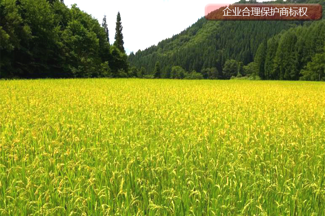 企業應該如何合理使用注冊商標不被侵權? 企業應該如何合理使用注冊商標不被侵權?