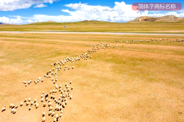 申請人用的簡體字商標名稱 申請人用的簡體字商標名稱