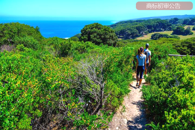 商標初審公告的主要內容