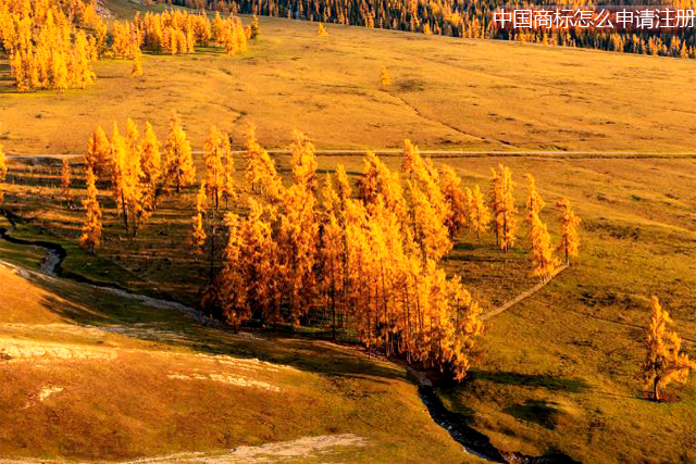 外國人或外國企業在中國申請商標注冊的具體程序 外國人或外國企業在中國申請商標注冊的具體程序